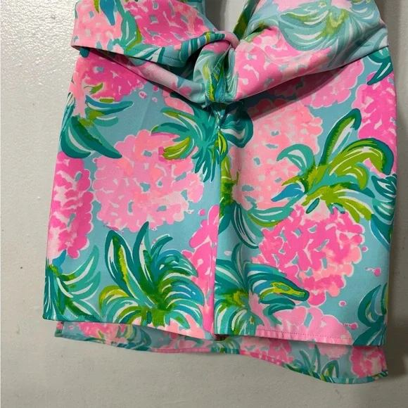 Lilly Pulitzer Pink and Blue Floral Dress - Picture 9 of 10
